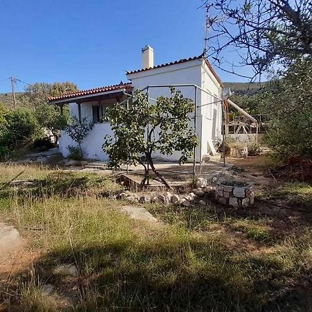 Elafonisos Detached House In Quiet Olive Grove, Starlink Internet & Smart Projector! Villa Luaran gambar